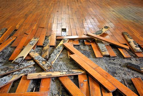 Flood Clean Up in Mussey, Michigan (8428)